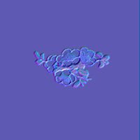 bl1111.jpg