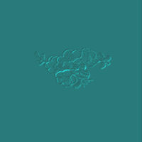 bl1111111.jpg