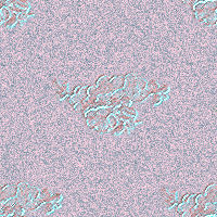 bl1111111111.jpg