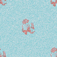 bl333333333.jpg