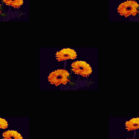 mallbak33.gif